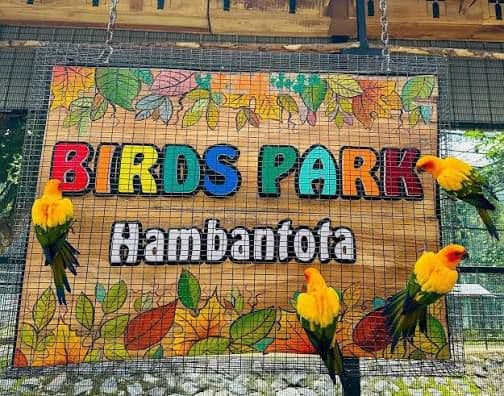 Hambantota Bird Park 1