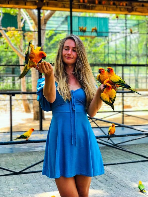 Hambantota Bird Park 4