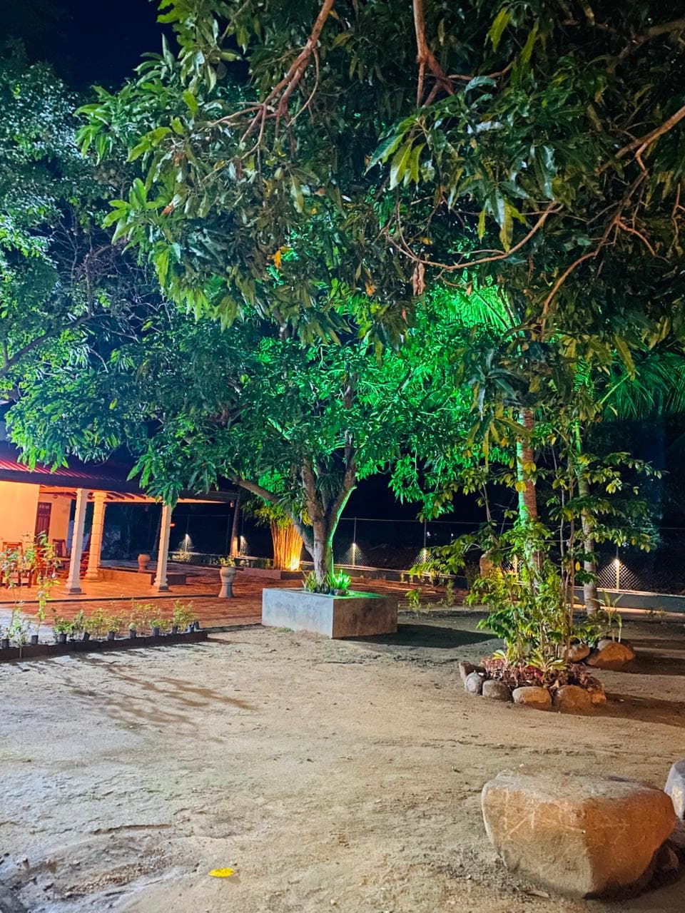 Garden with Green Lights