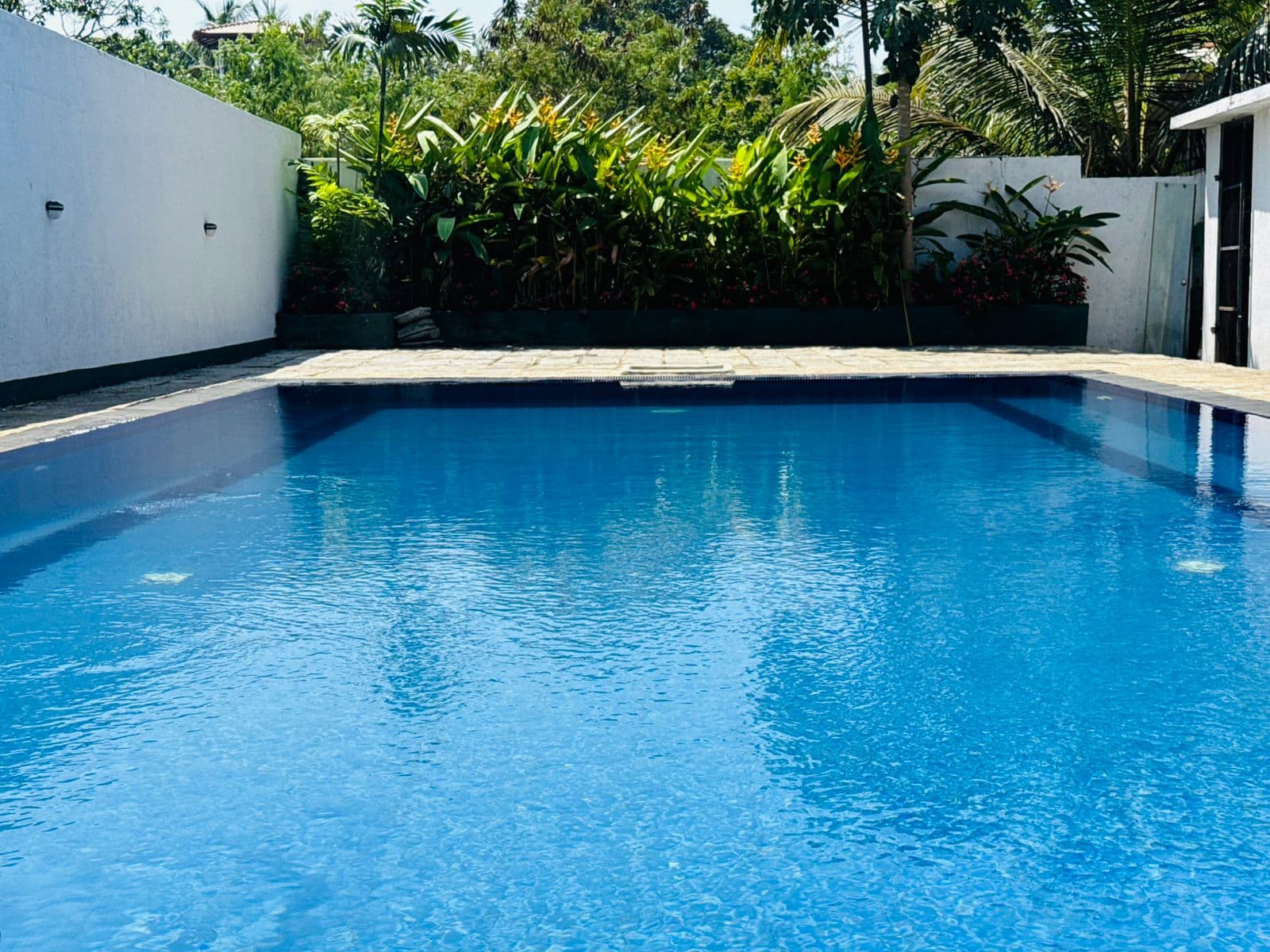 Swimming Pool View 2